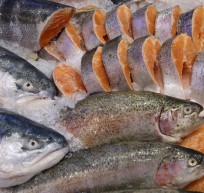 Покупка и хранение лосося
